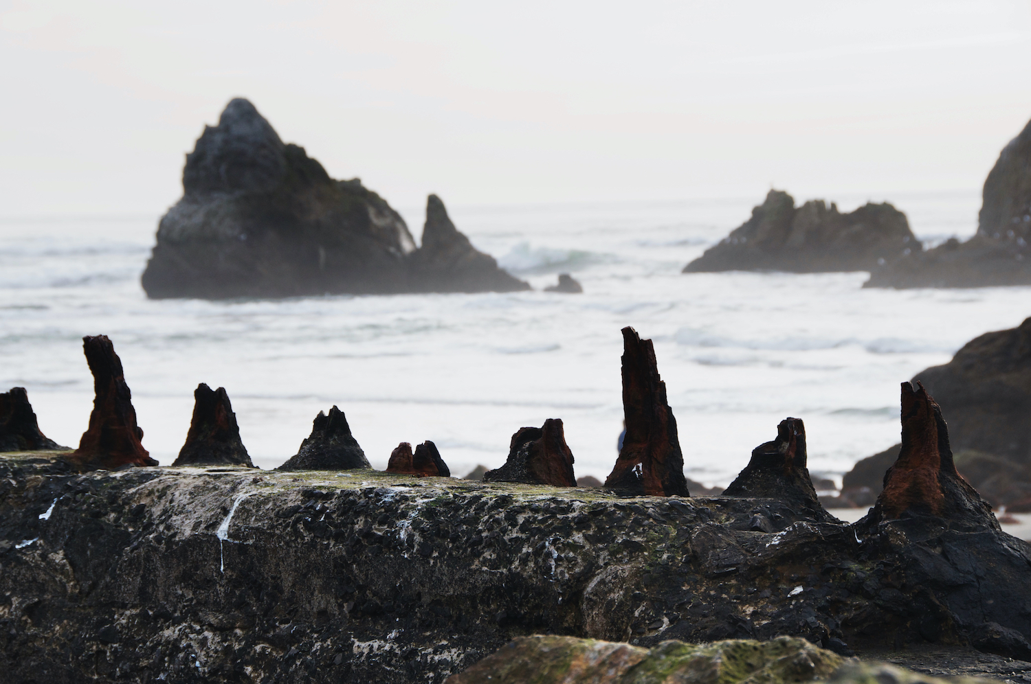 Sutro Baths