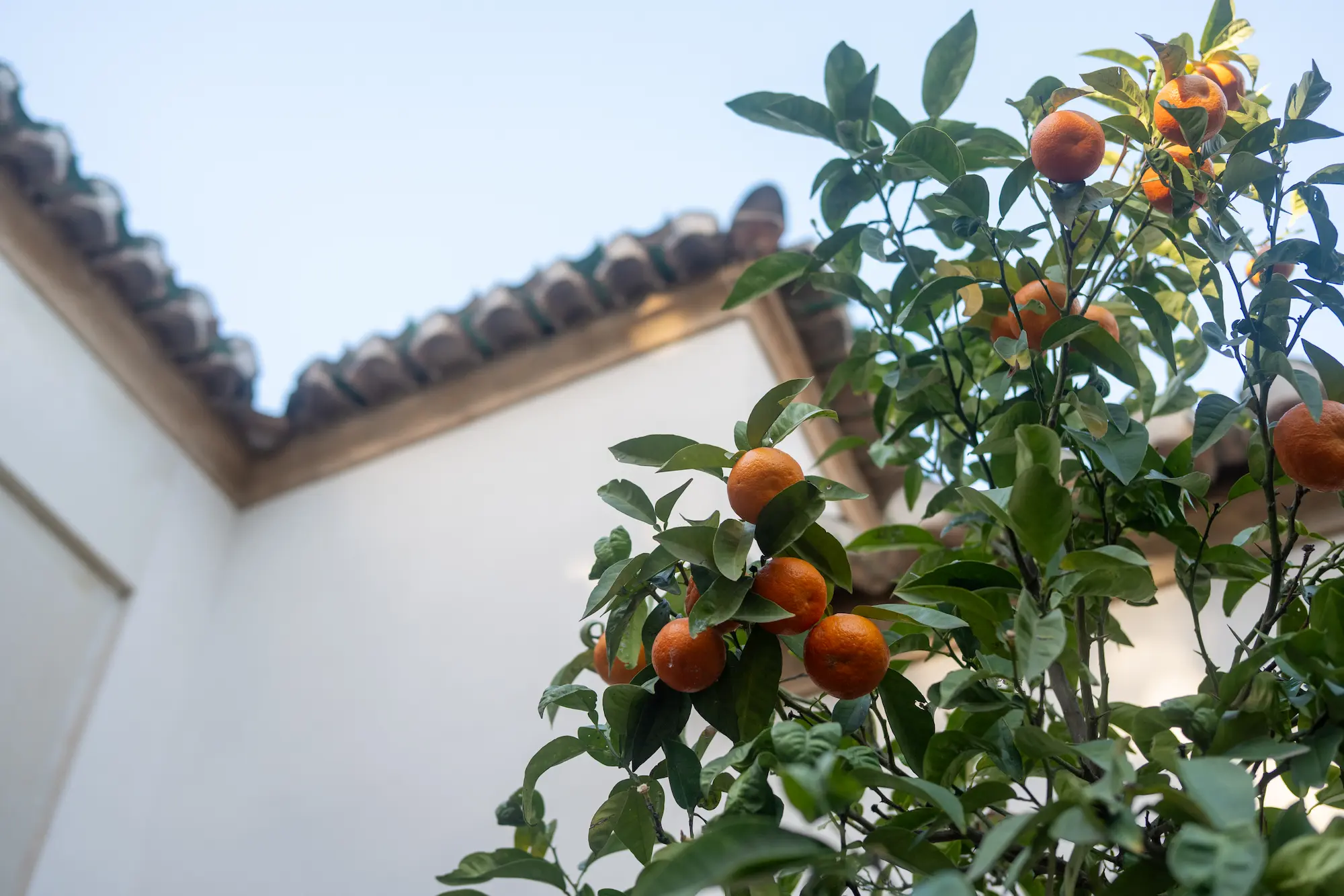 Málaga and Mallorca in Winter