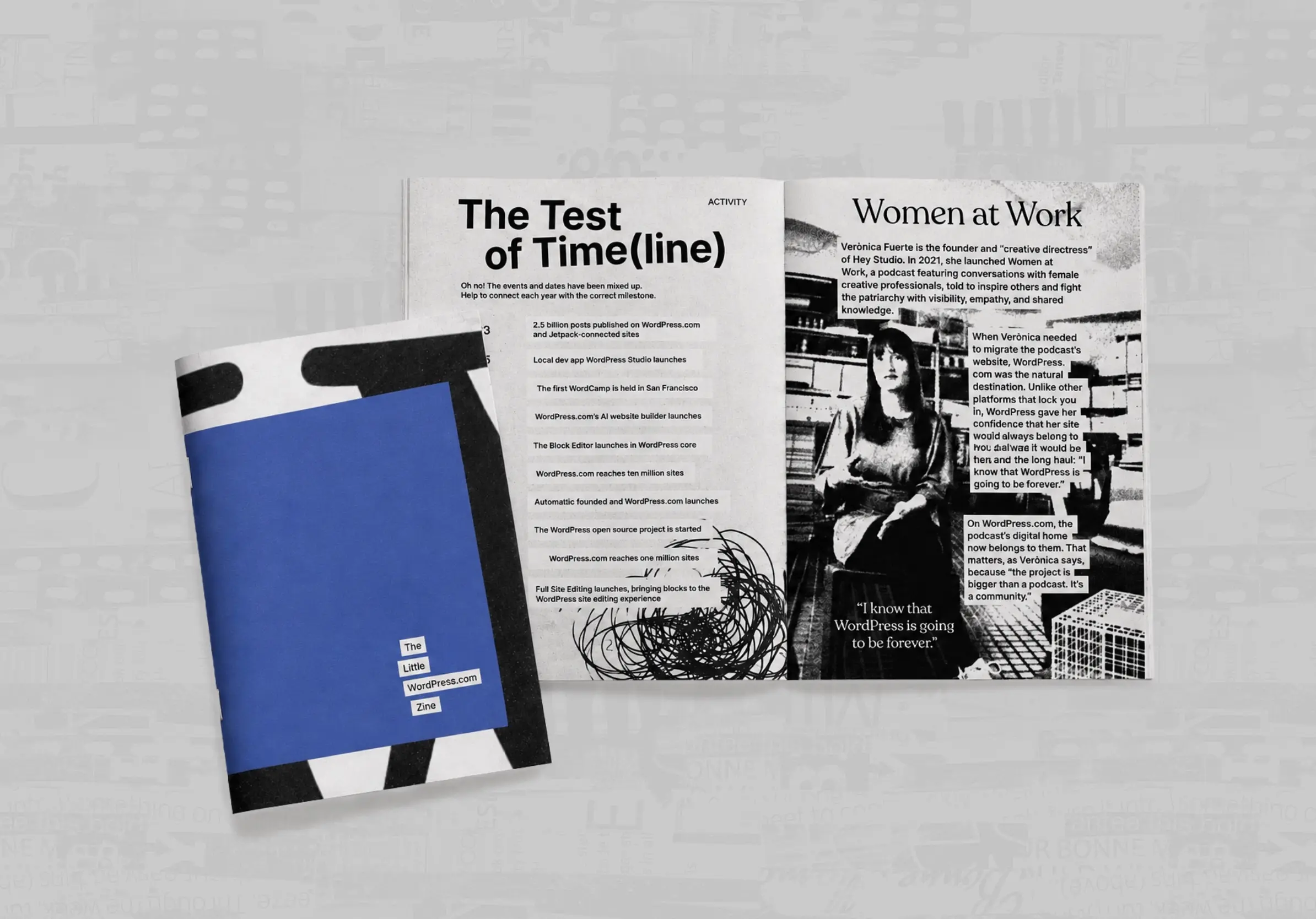 The Little WordPress.com Zine